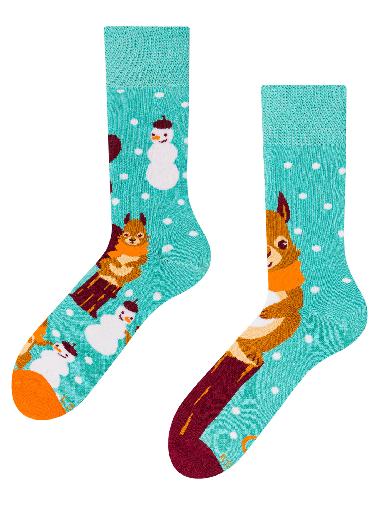 Warm Socks Winter Squirrel