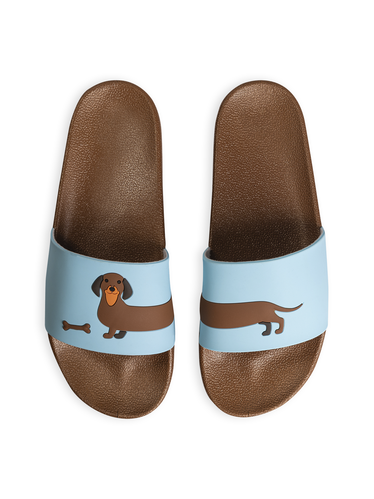 Slides Long Dachshund