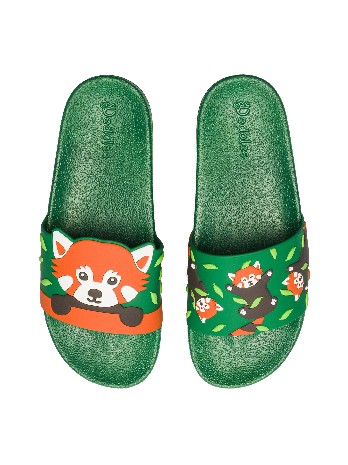 Slides Red Panda