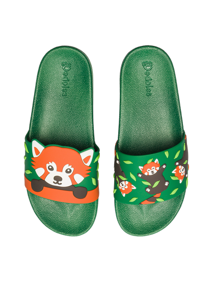 Slides Red Panda