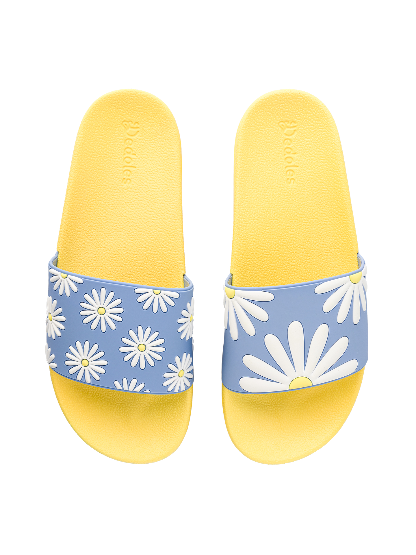 Slides Sunny Daisy