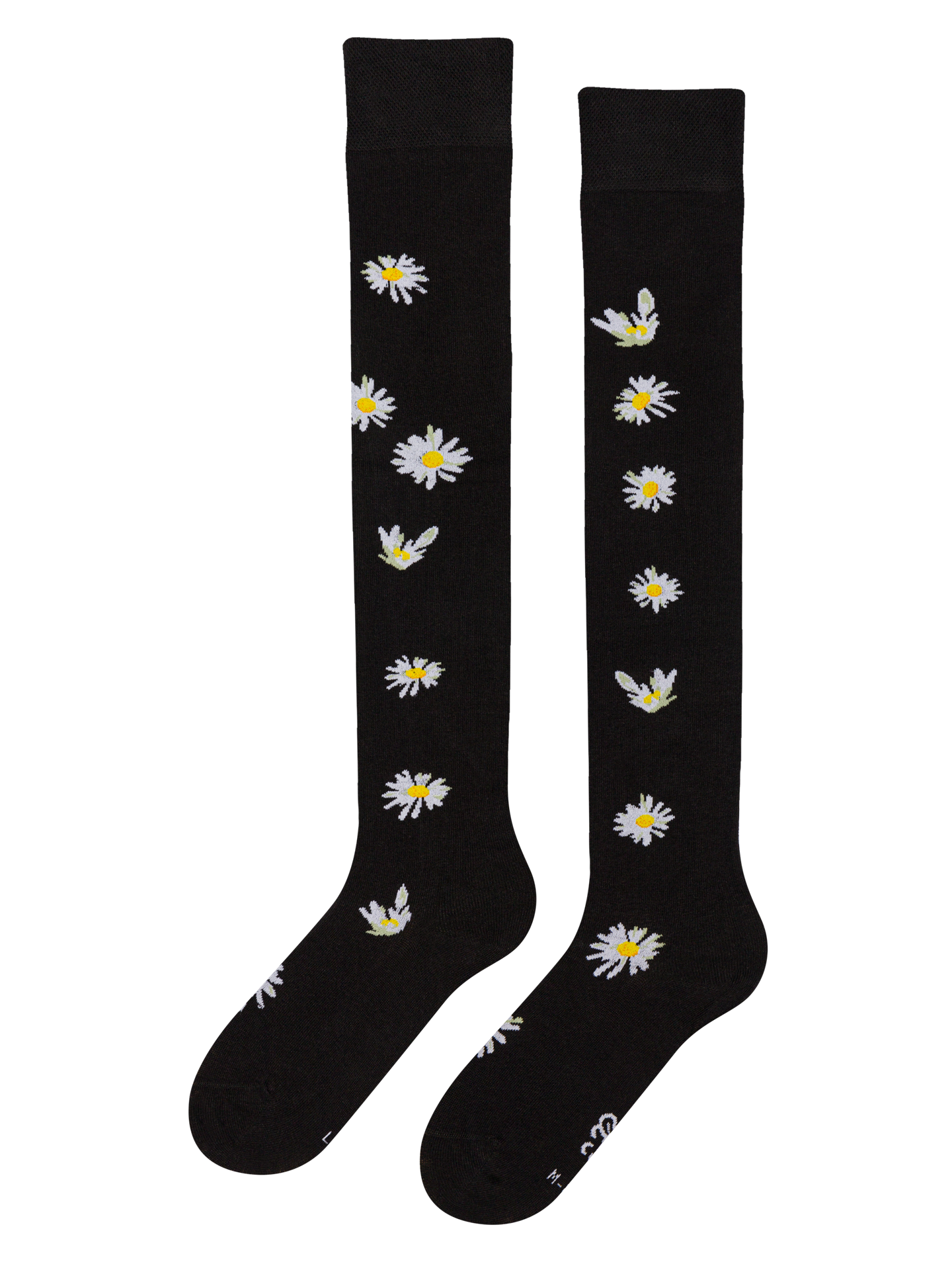 Over the Knee Socks Daisies at Night