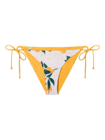 Bikini Bottom Oranges
