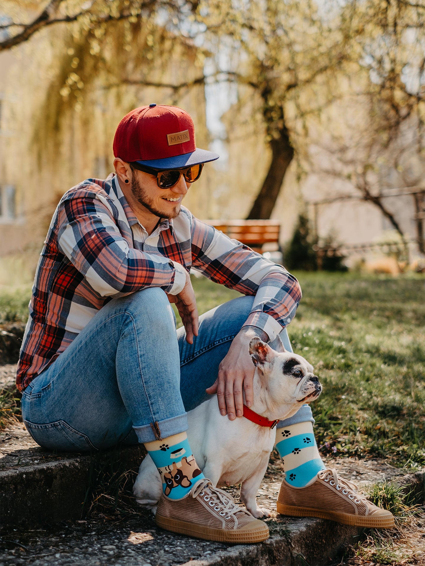 Regular Socks Dogs & Stripes