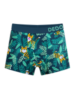 Boys' Boxers Tiger