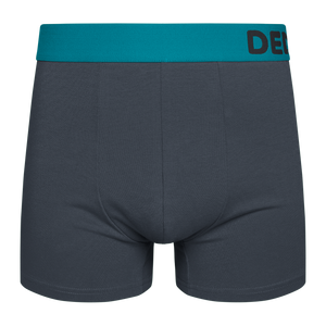 Anthracite Grey Men's Trunks