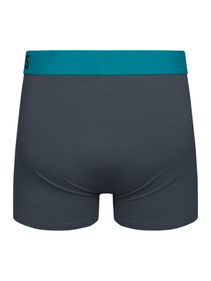 Anthracite Grey Men's Trunks