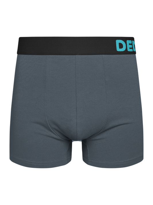 Grey Men's Trunks