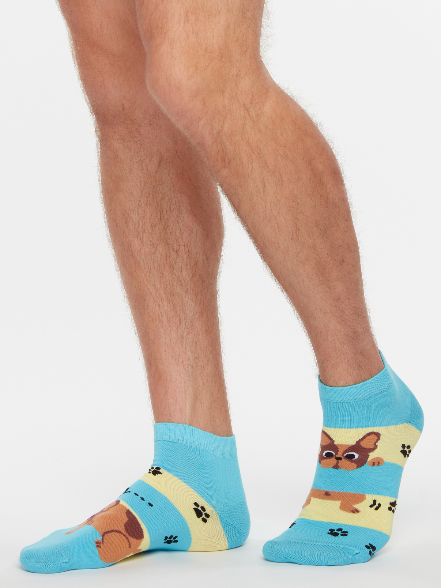 Ankle Socks Dogs & Stripes