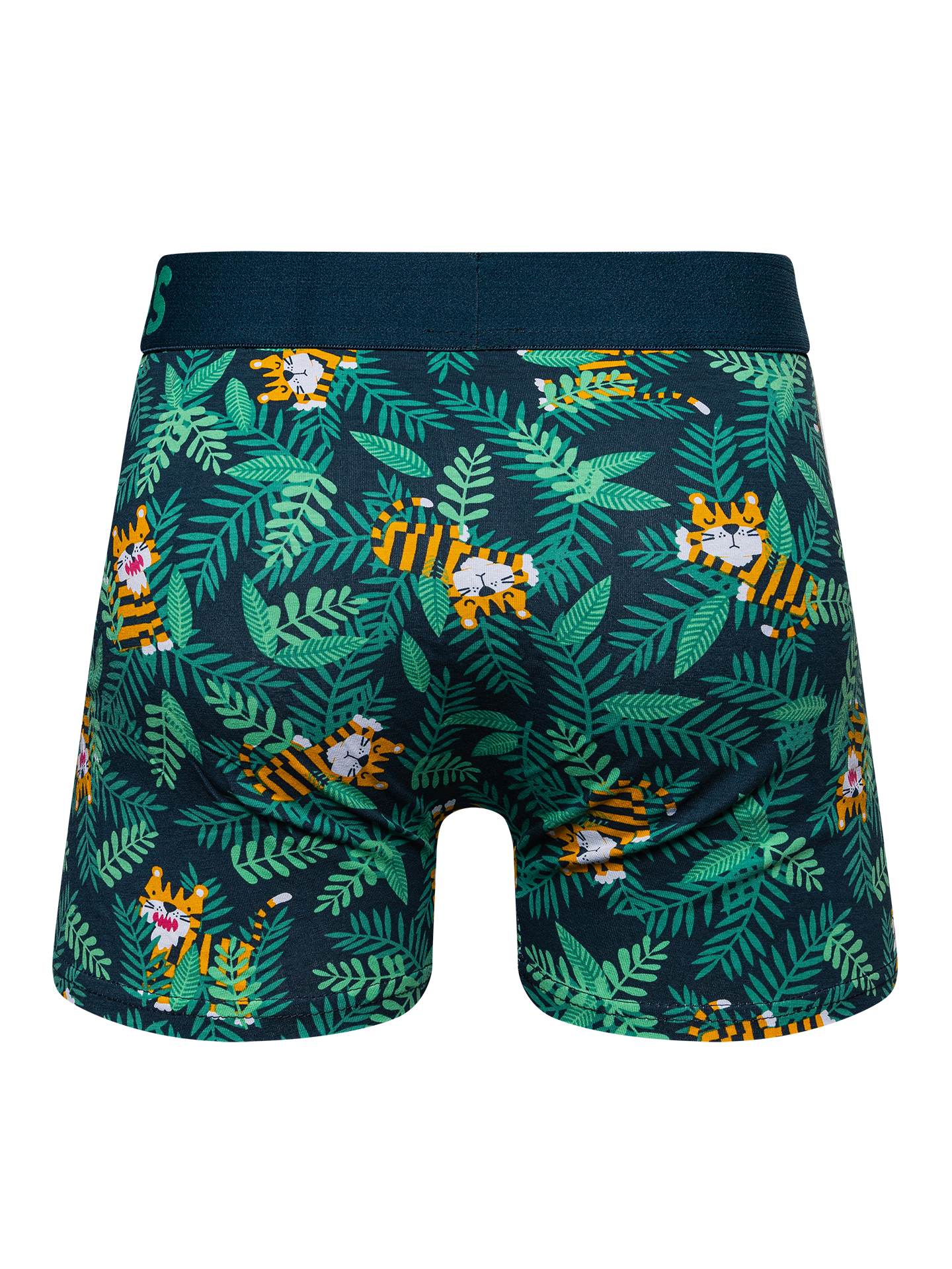 Men's Trunks Tiger OKT