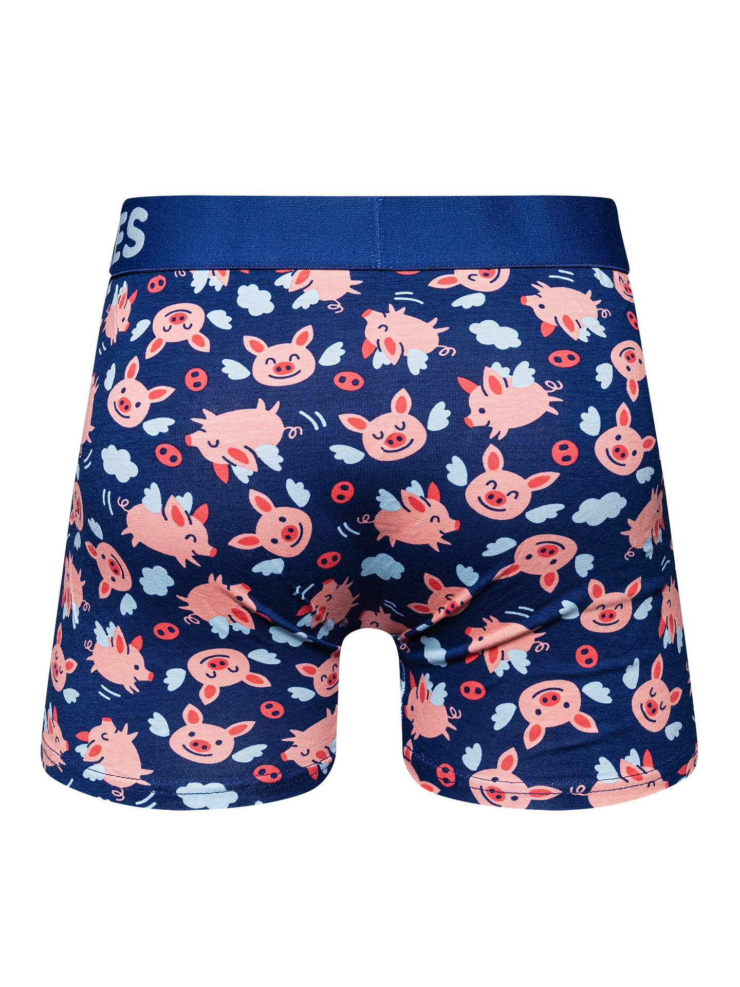 Men's Trunks Flying Pigs OKT