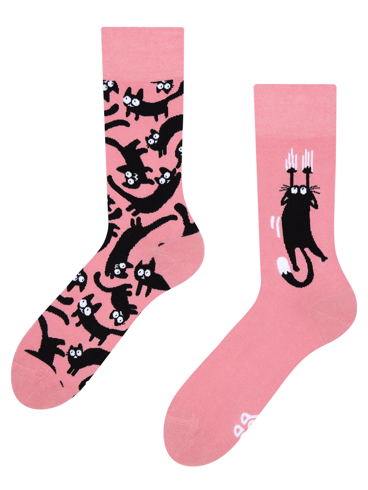 Regular Socks Pink Cats