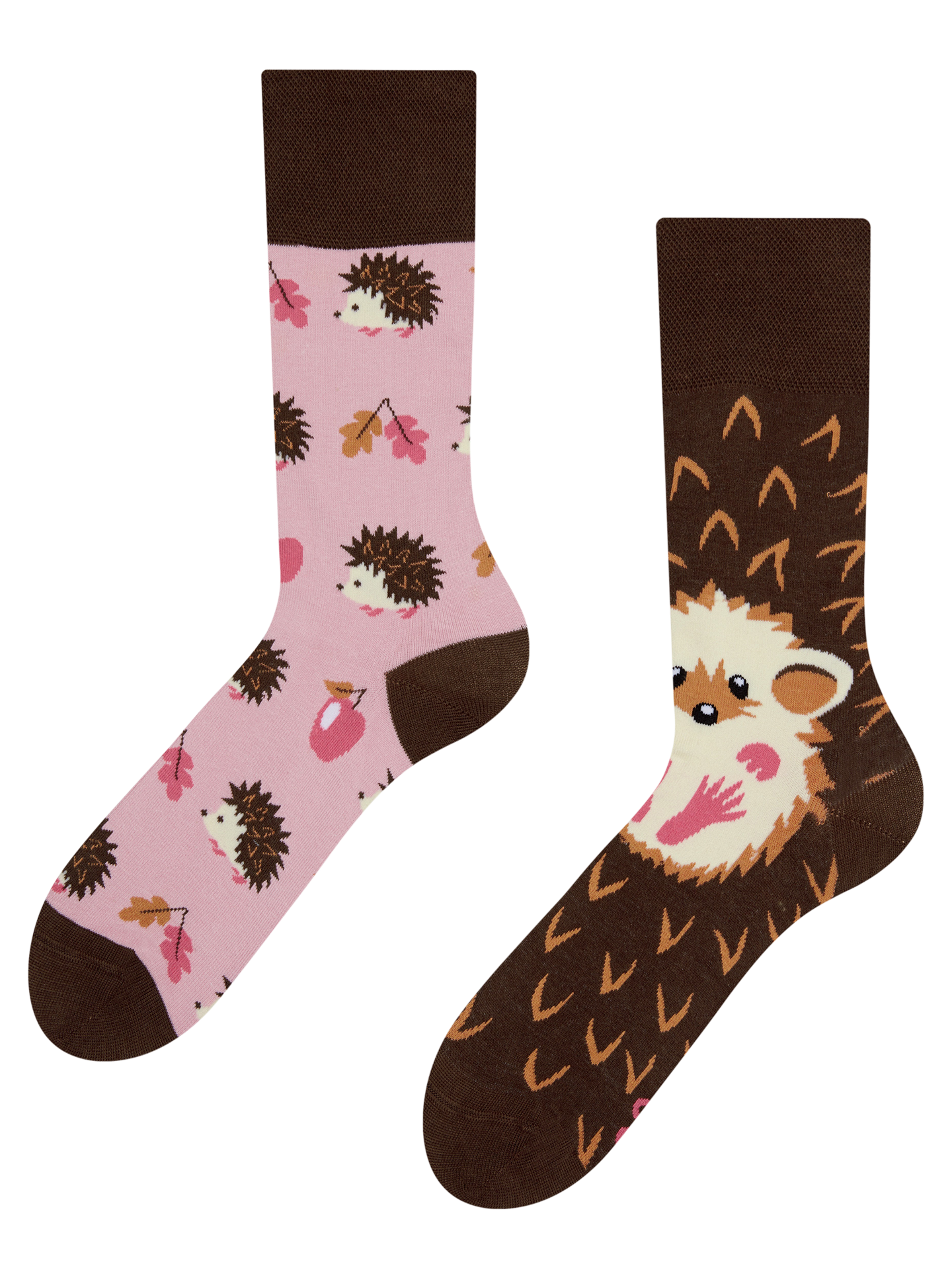 Regular Socks Hedgehog