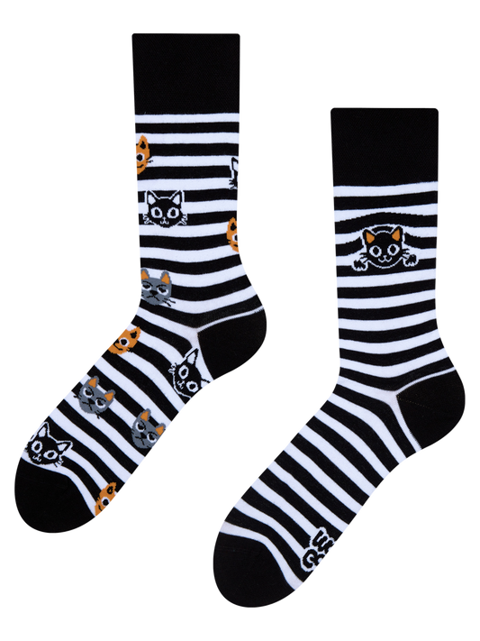 Regular Socks Cats & Stripes