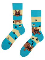 Regular Socks Dogs & Stripes