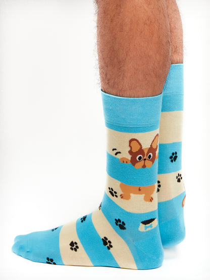 Regular Socks Dogs & Stripes