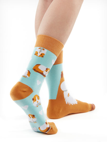 Regular Socks Guinea Pig