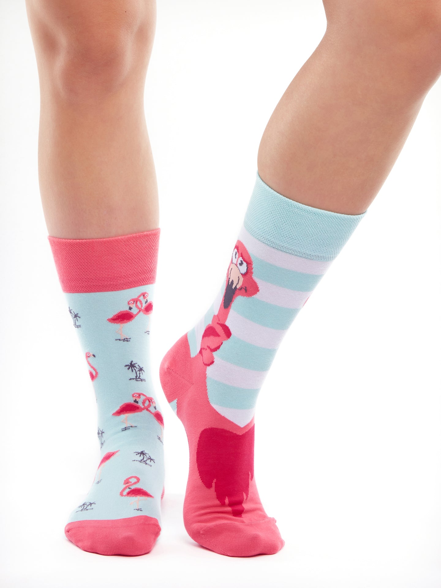 Regular Socks Tangled Flamingo