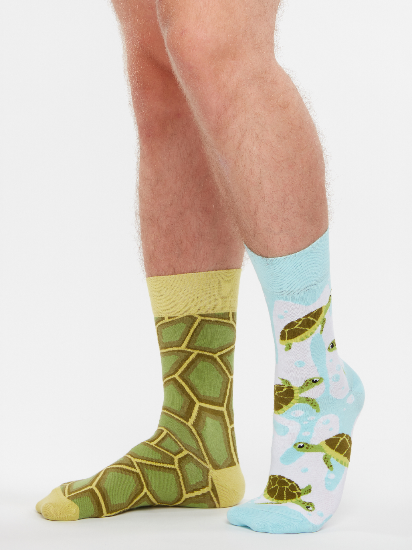 Regular Socks Sea Turtles