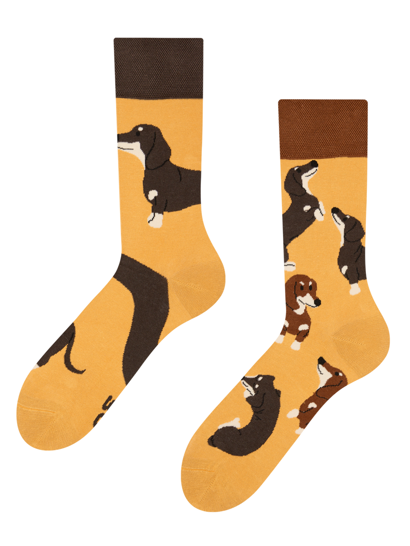 Regular Socks Dachshunds