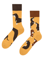 Regular Socks Dachshunds