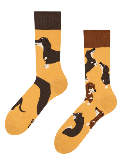 Regular Socks Dachshunds