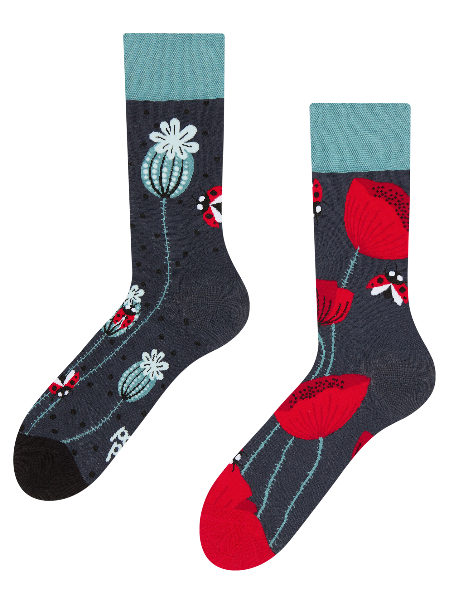 Regular Socks Ladybugs & Poppy Flowers