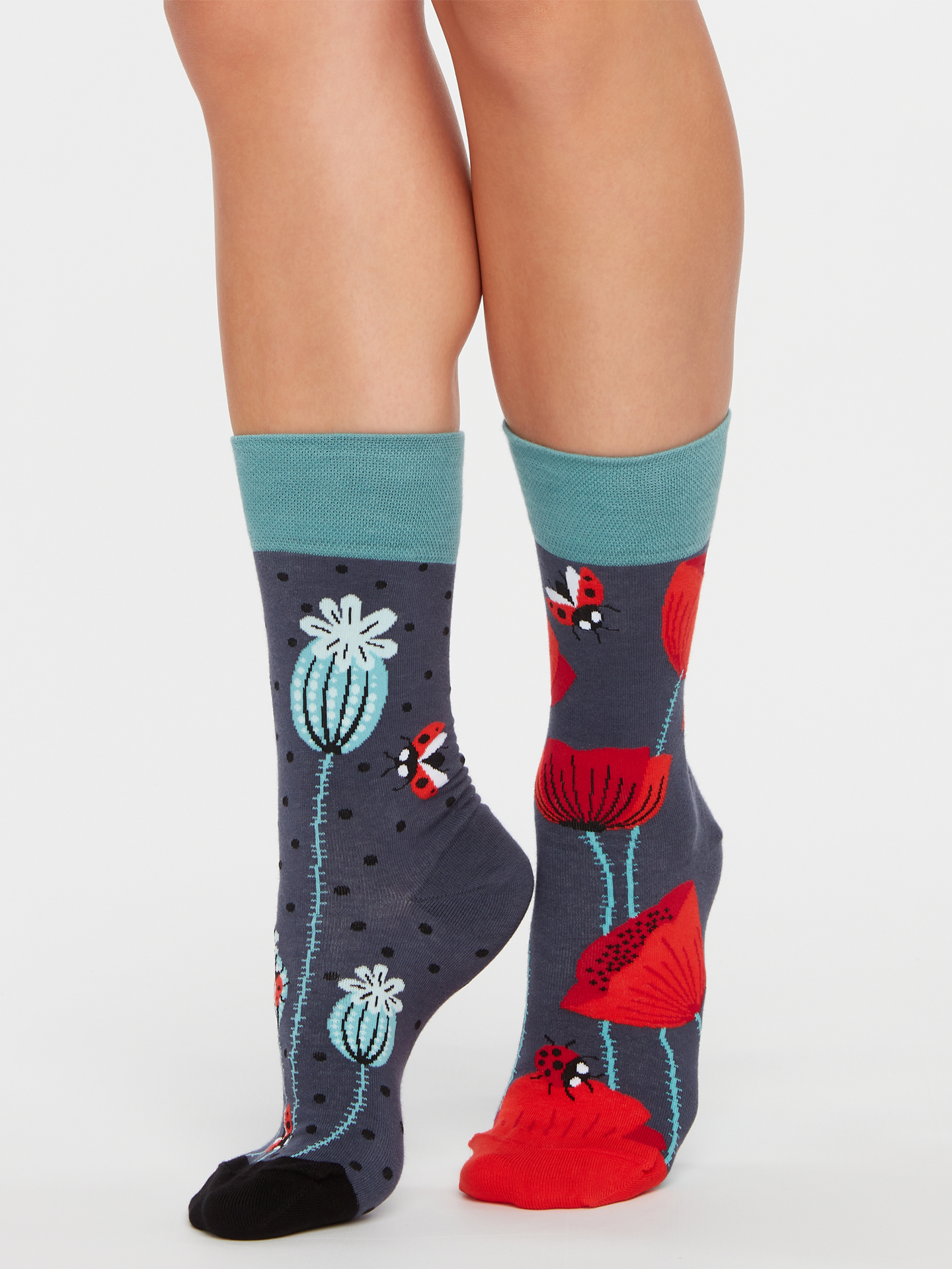 Regular Socks Ladybugs & Poppy Flowers