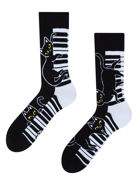 Regular Socks Piano Cat