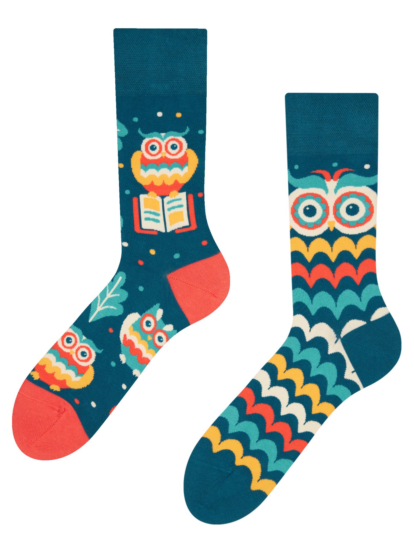 Regular Socks Wise Owl