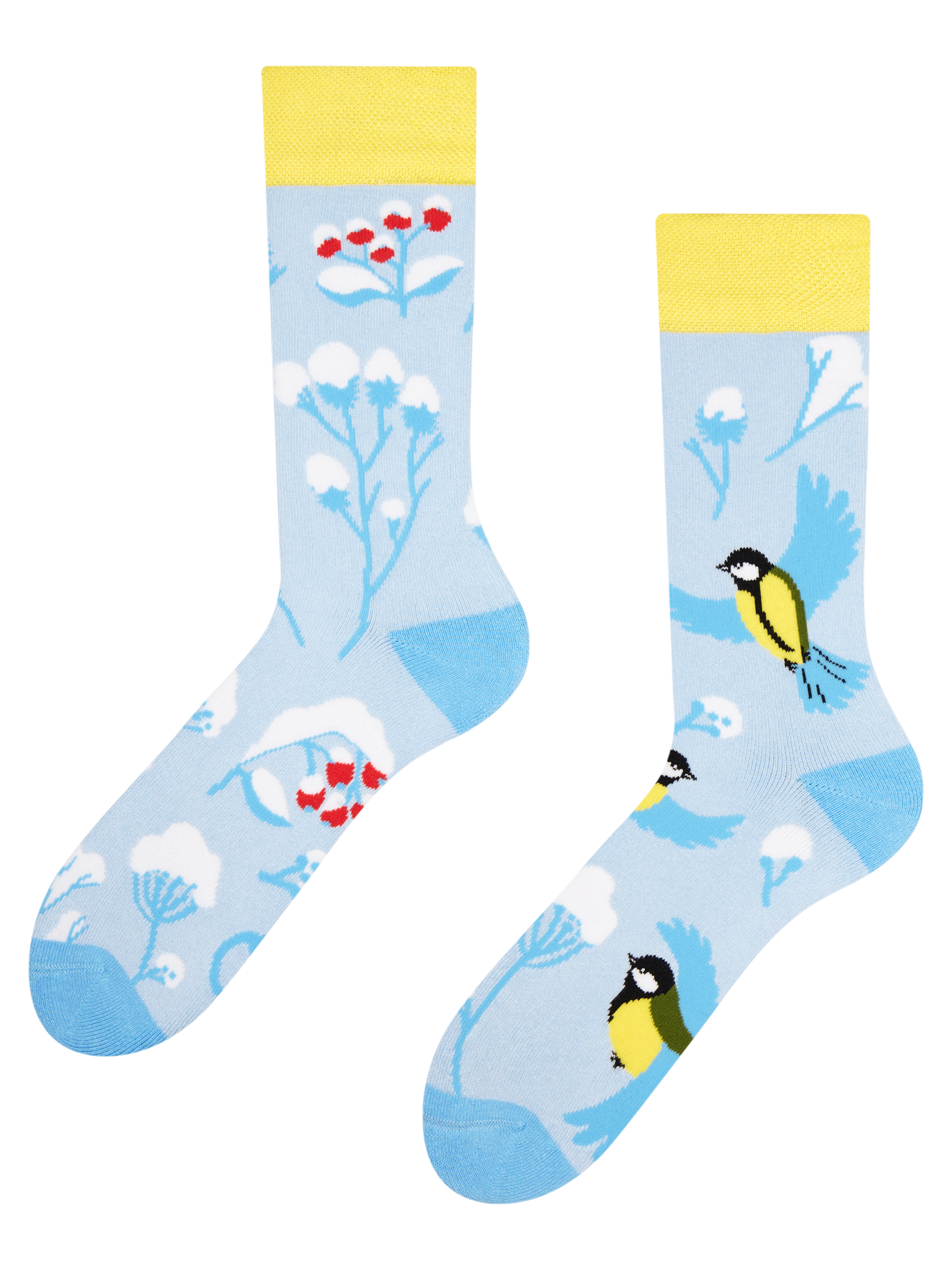 Warm Socks Winter Bird