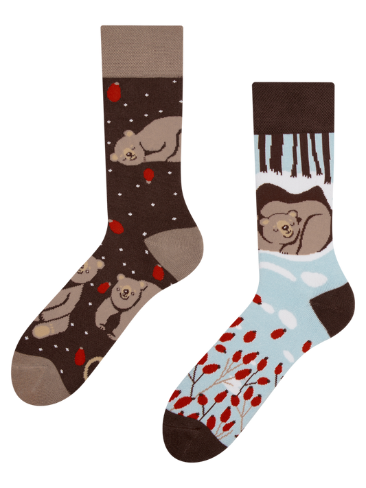 Warm Socks Bear in Winter