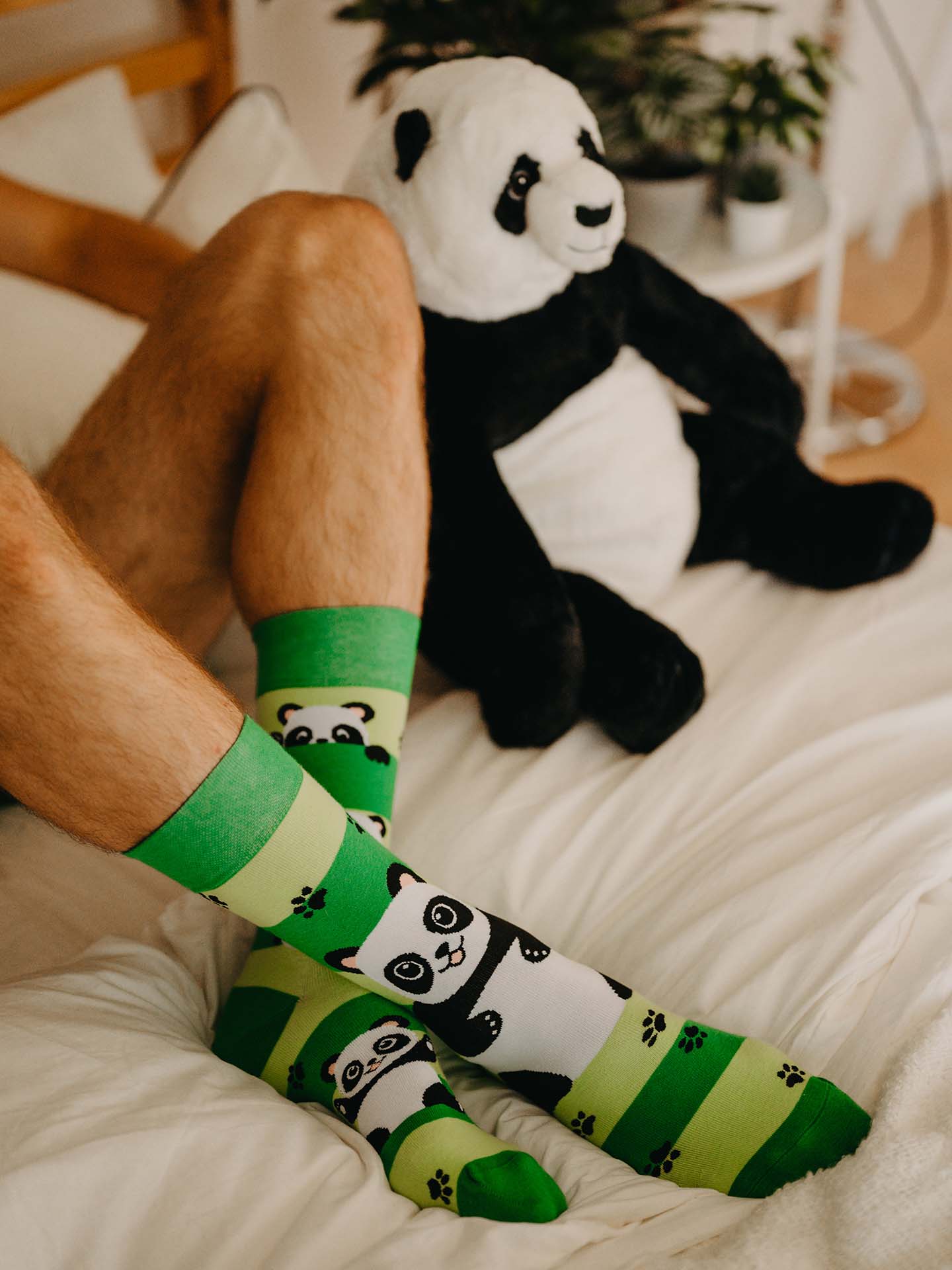 Regular Socks Panda & Stripes