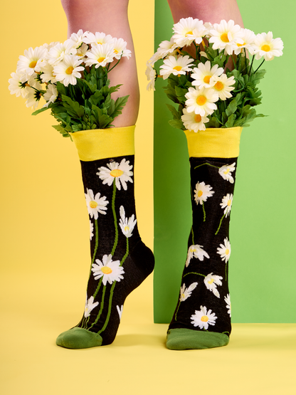 Regular Socks Daisies at Night