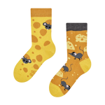 Kids' Socks Cheese